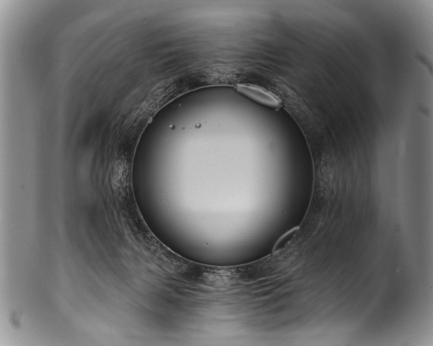 X0000101120079200806261446