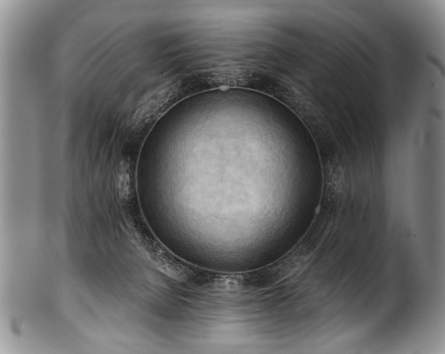 X0000101120080200806261446