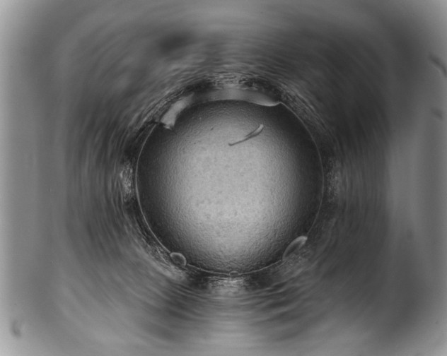 X0000101120081200806261446