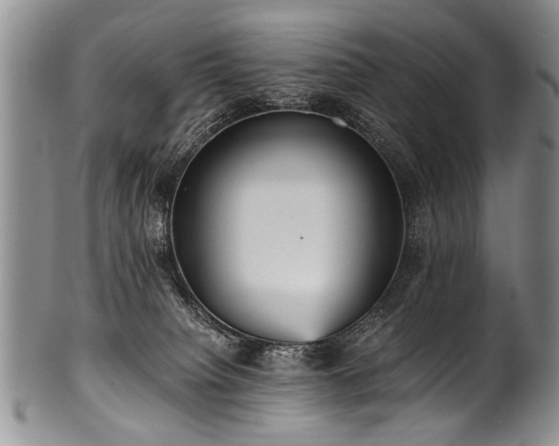 X0000101120084200806261446