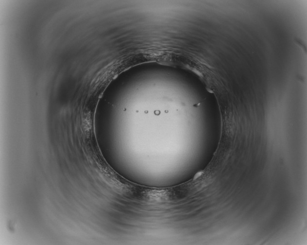 X0000101120085200806261446