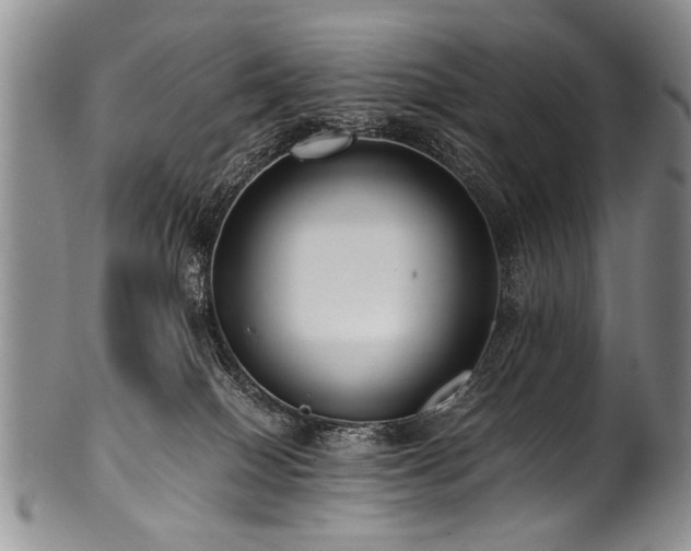 X0000101120086200806261446