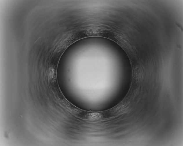 X0000101120087200806261446