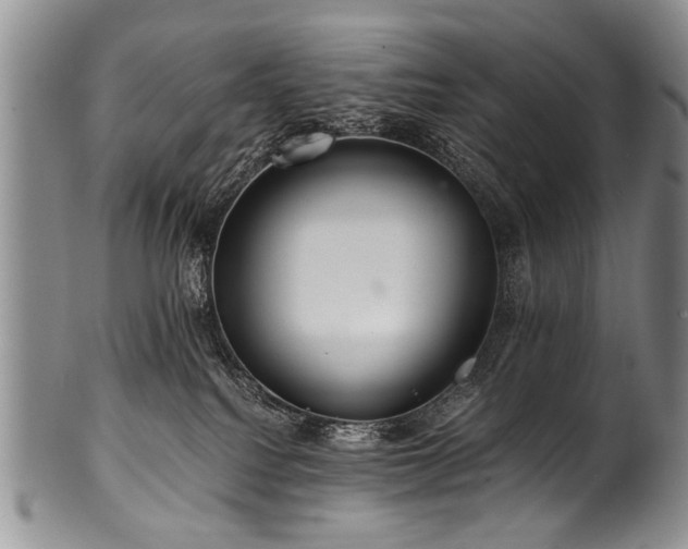 X0000101120088200806261446