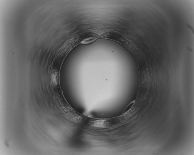 X0000101120090200806261446