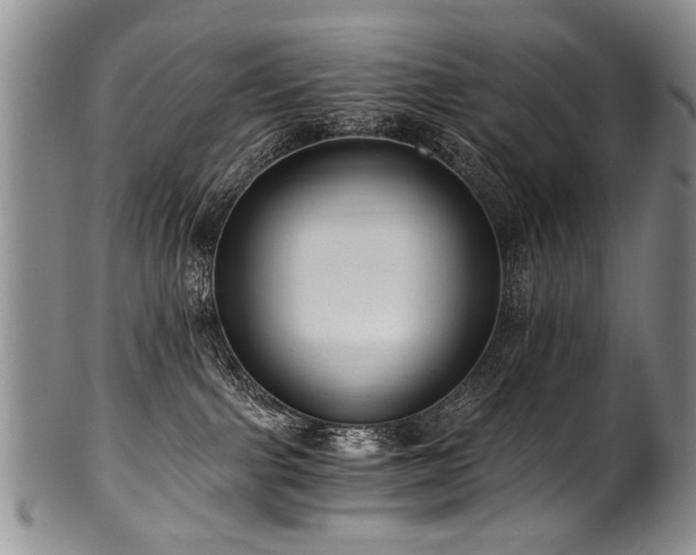 X0000101120091200806261446