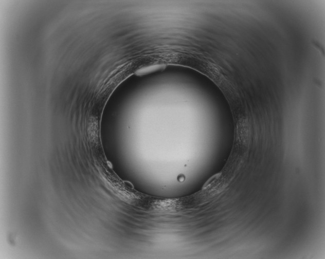 X0000101120092200806261446