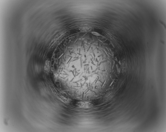X0000101120093200806261446