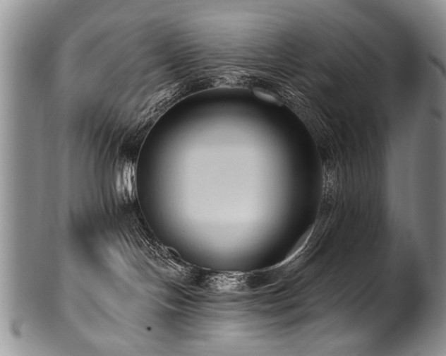 X0000101120094200806261446