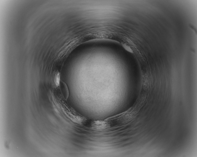 X0000101120095200806261446