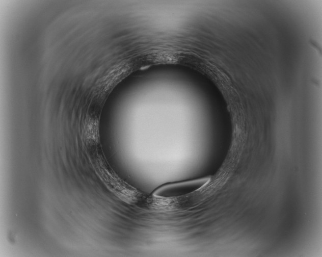 X0000101120096200806261446
