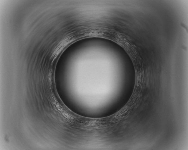 X0000101120098200806261446