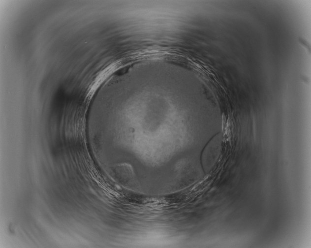 X0000101120099200806261446