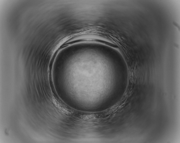 X0000101120100200806261446