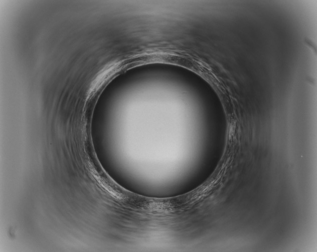X0000101120101200806261446