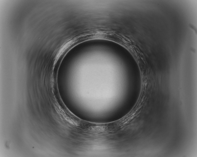 X0000101120102200806261446