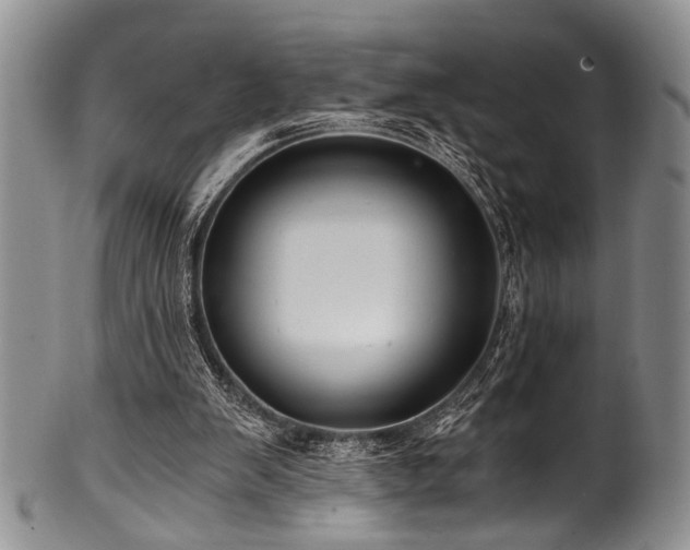 X0000101120103200806261446