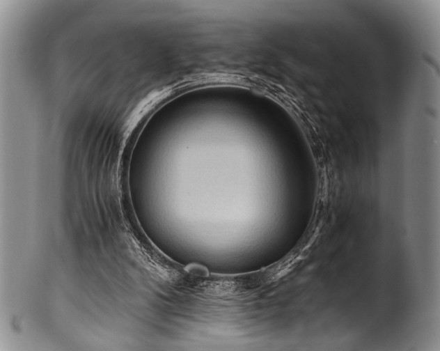 X0000101120104200806261446