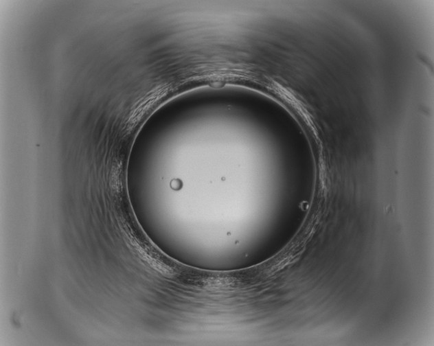 X0000101120105200806261446