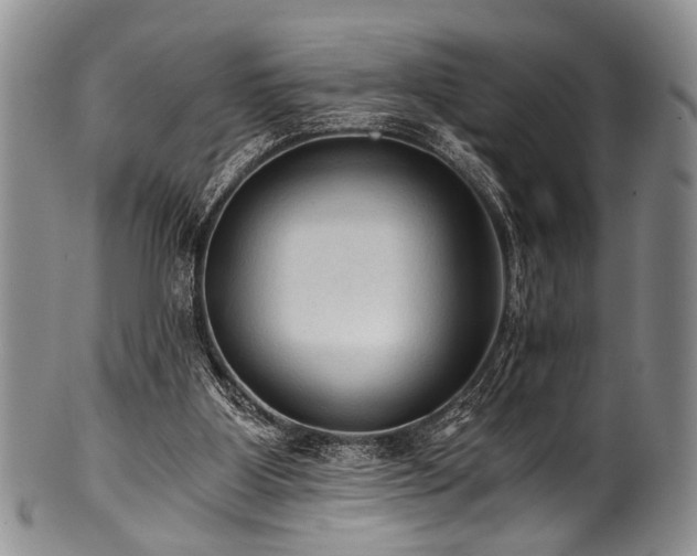 X0000101120107200806261445
