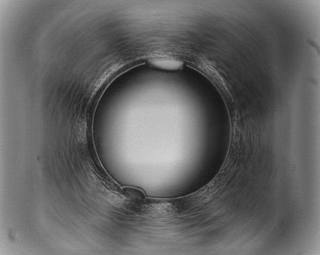 X0000101120108200806261445