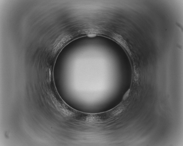 X0000101120109200806261445