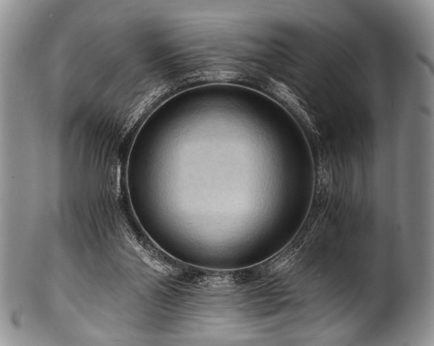 X0000101120110200806261445