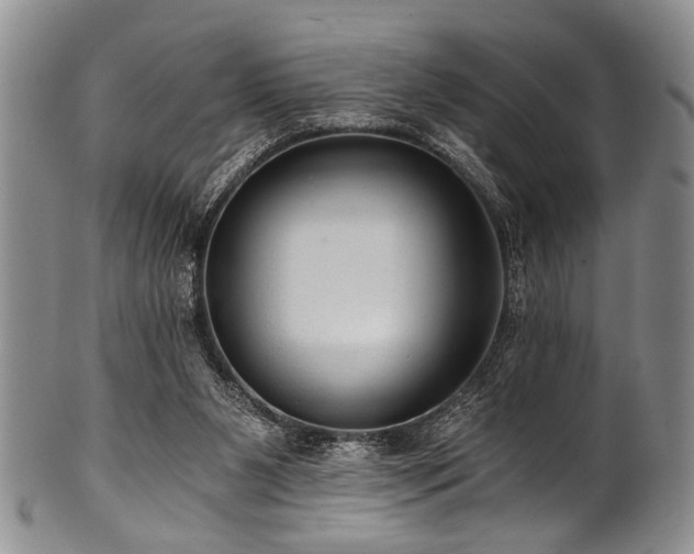 X0000101120111200806261445