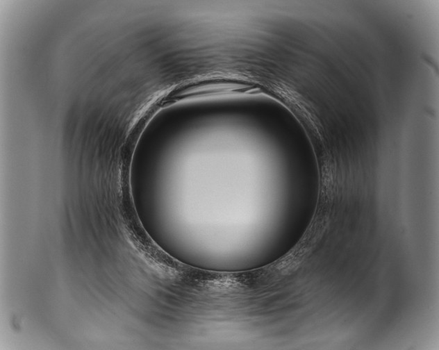 X0000101120112200806261445