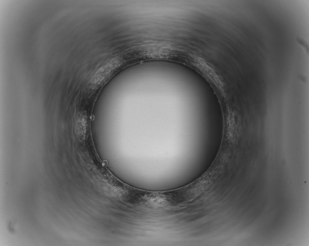 X0000101120113200806261445