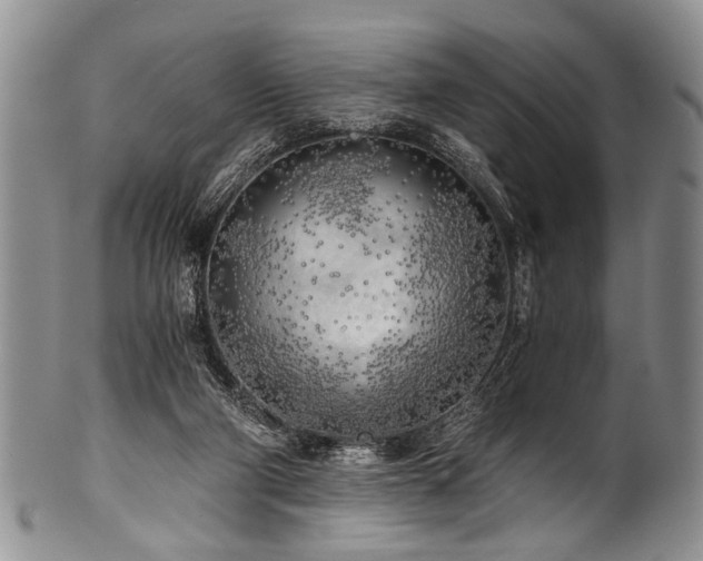 X0000101120114200806261445