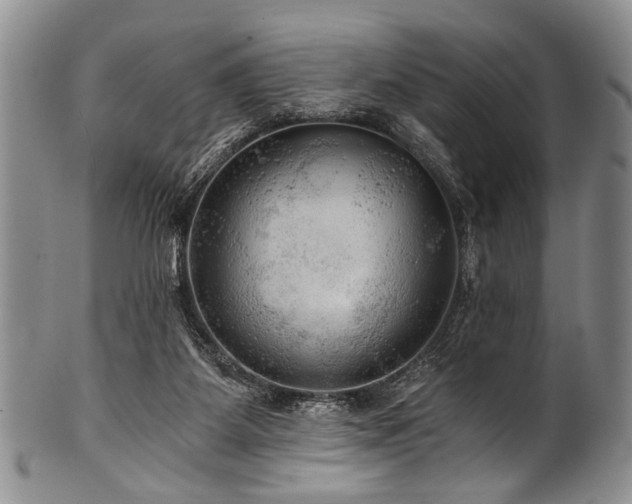 X0000101120115200806261445