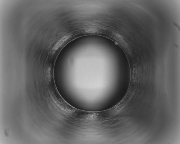 X0000101120116200806261445