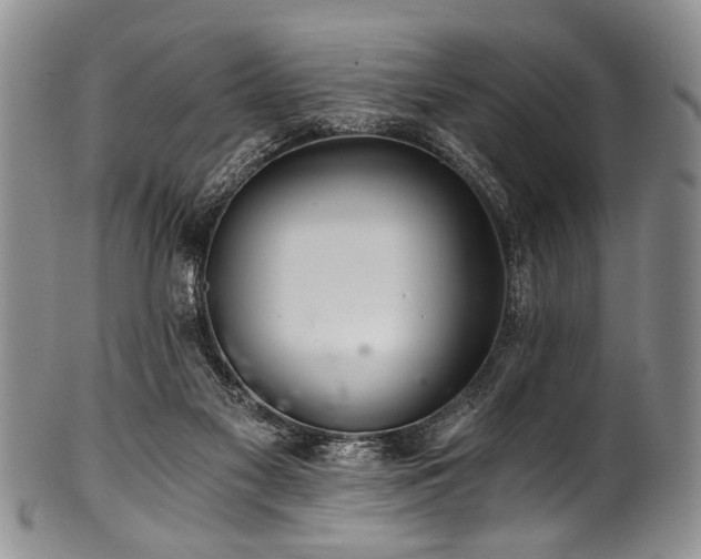 X0000101120117200806261445