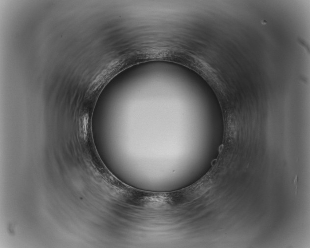 X0000101120118200806261445