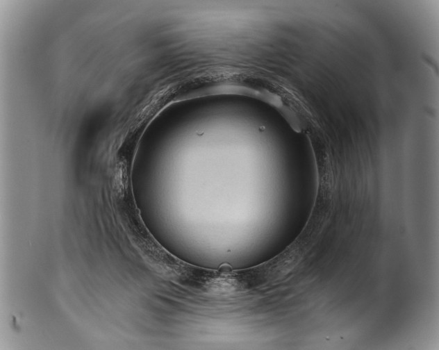 X0000101120119200806261445