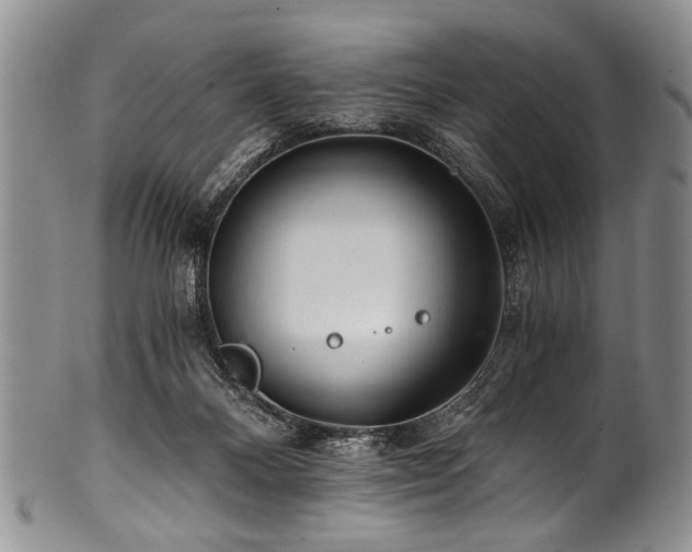 X0000101120120200806261445