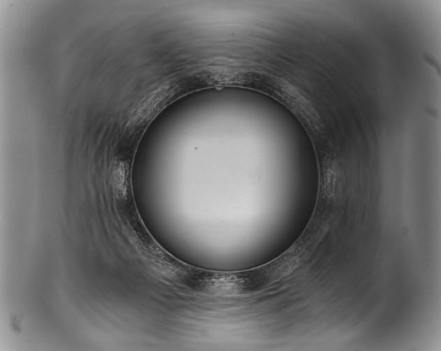 X0000101120121200806261445