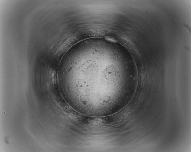 X0000101120123200806261445