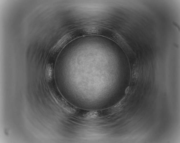X0000101120124200806261445