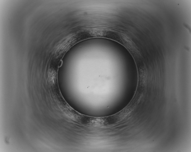 X0000101120125200806261445