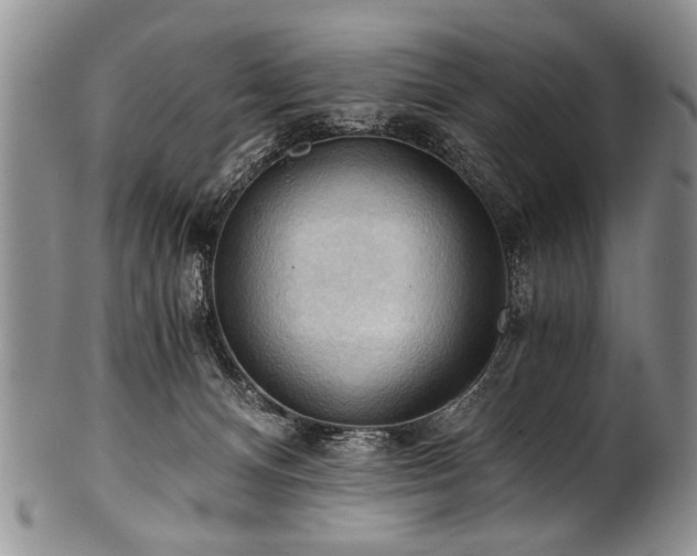 X0000101120128200806261445
