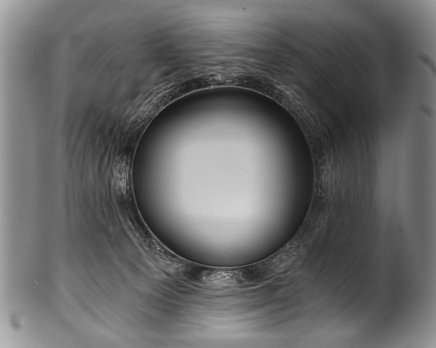 X0000101120129200806261445