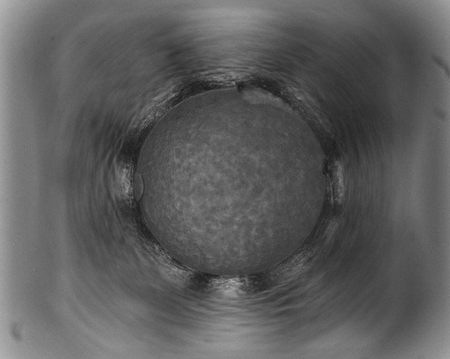 X0000101120131200806261445