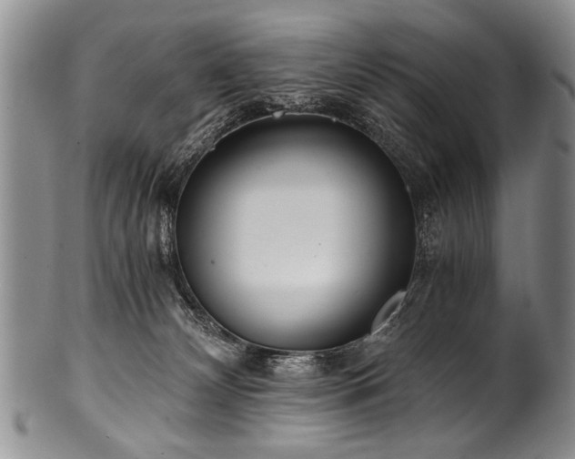 X0000101120132200806261445
