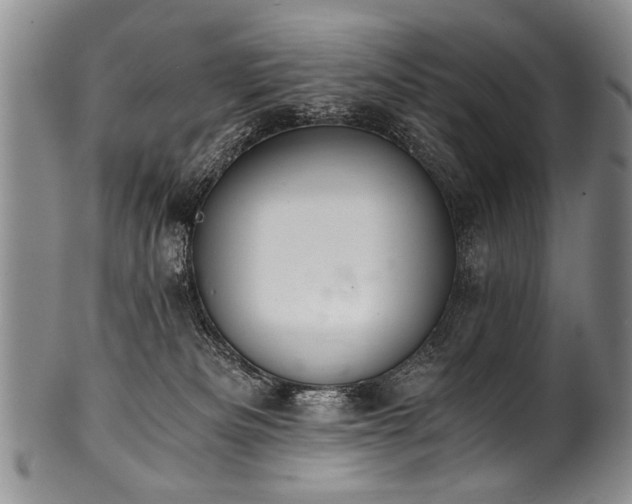 X0000101120133200806261445
