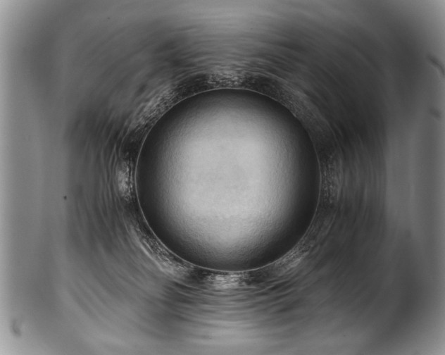 X0000101120134200806261445