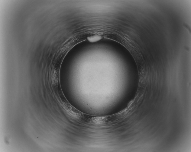 X0000101120136200806261445