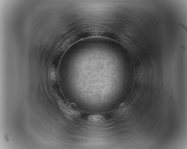 X0000101120137200806261445
