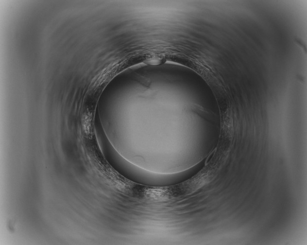 X0000101120139200806261445